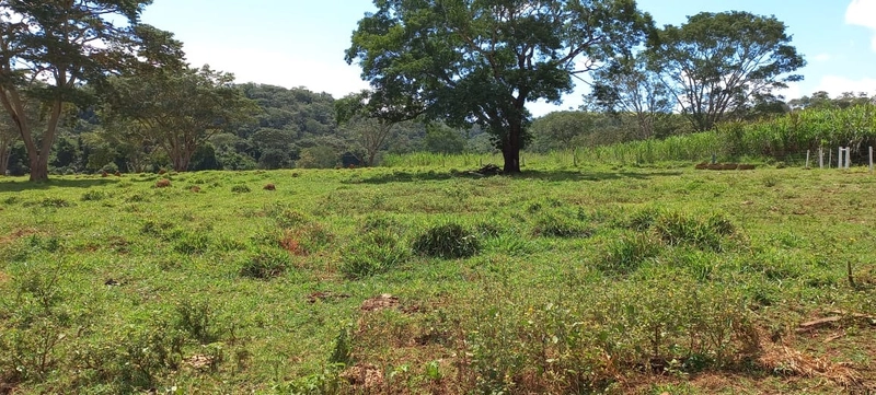 Fazenda de LUXO em Luziânia-GO, 140,36 Ha). Estrutura cinematográfica.: 14ª foto da galeria de imagens do imóvel