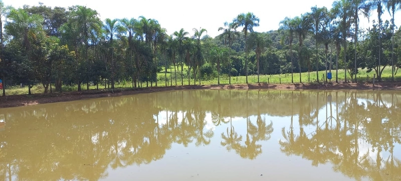 Fazenda de LUXO em Luziânia-GO, 140,36 Ha). Estrutura cinematográfica.: 10ª foto da galeria de imagens do imóvel