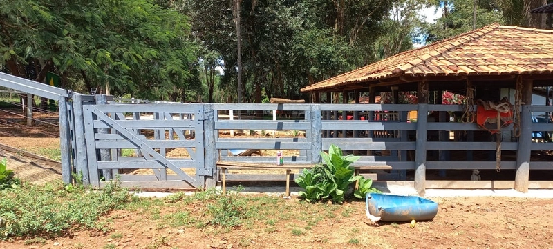 Fazenda de LUXO em Luziânia-GO, 140,36 Ha). Estrutura cinematográfica.: 16ª foto da galeria de imagens do imóvel