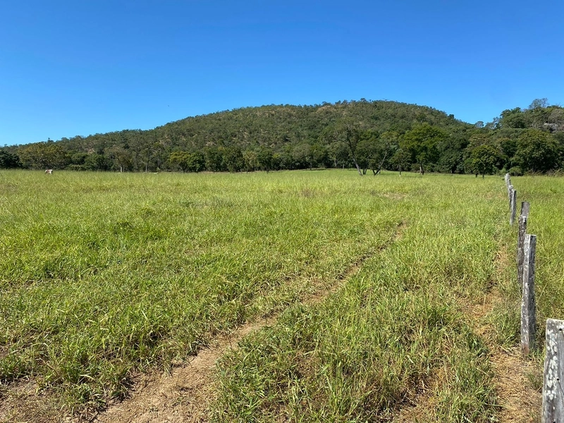 Fazenda, 174,24 Ha, em Quebra Linha/Niquelândia-GO.: 4ª foto da galeria de imagens do imóvel
