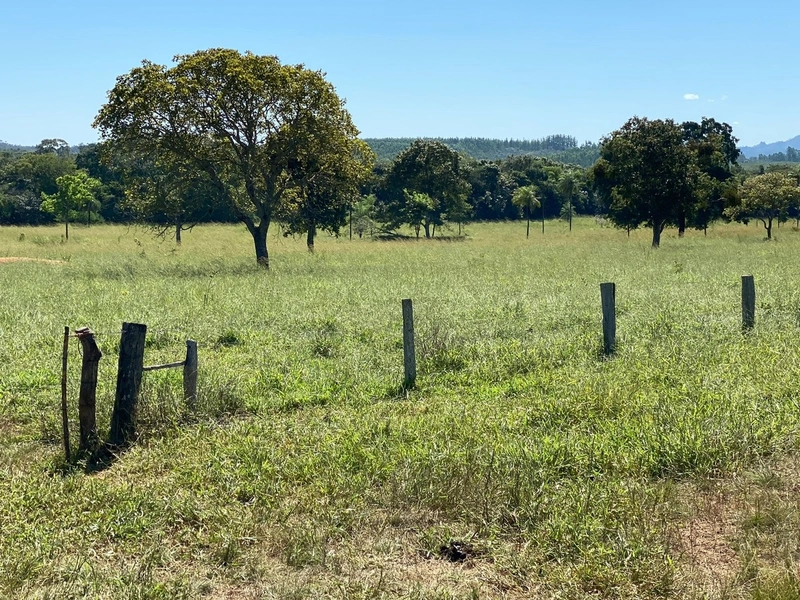 Fazenda, 174,24 Ha, em Quebra Linha/Niquelândia-GO.: 7ª foto da galeria de imagens do imóvel