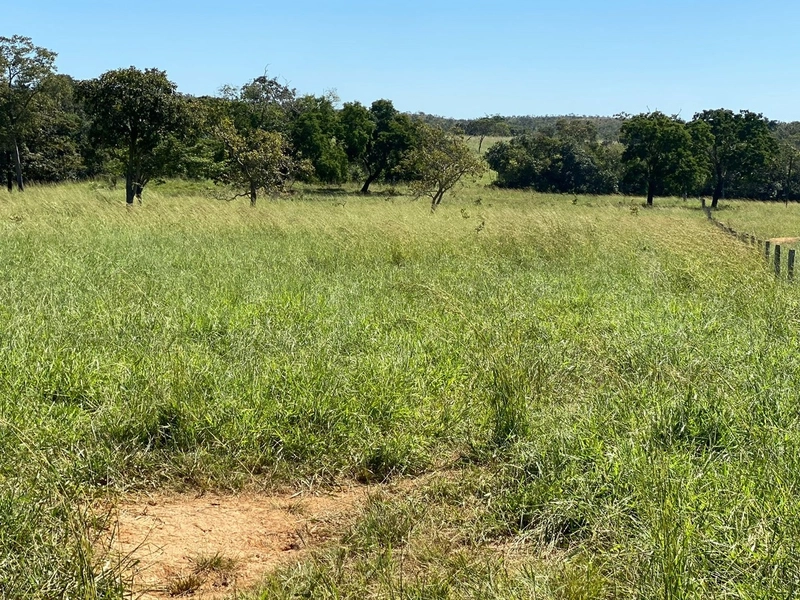 Fazenda, 174,24 Ha, em Quebra Linha/Niquelândia-GO.: 8ª foto da galeria de imagens do imóvel