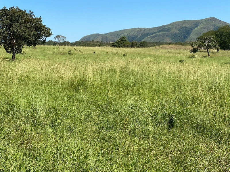 Fazenda, 174,24 Ha, em Quebra Linha/Niquelândia-GO.: 6ª foto da galeria de imagens do imóvel
