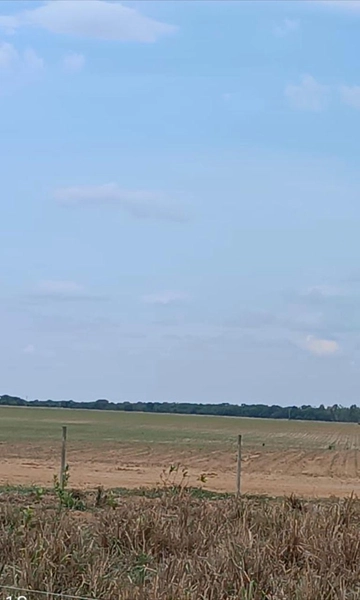 Fazenda, 1.415 Ha, em João Pinheiro-MG Pivô em 362 ha.: 5ª foto da galeria de imagens do imóvel