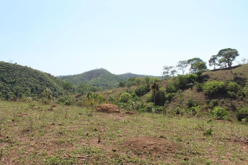 Fazenda à venda, 121 Ha, em Mimoso de Goiás-GO Aptidão para PECUÁRIA: 9ª foto da galeria de imagens do imóvel