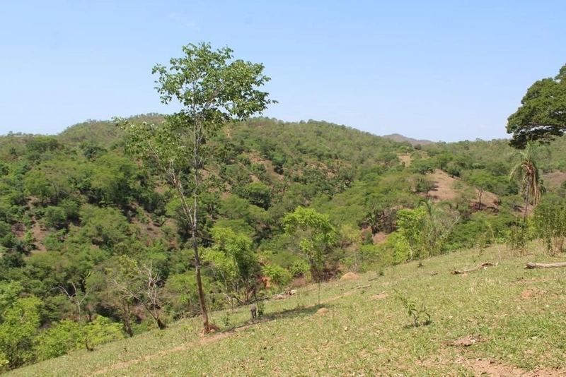 Fazenda à venda, 121 Ha, em Mimoso de Goiás-GO Aptidão para PECUÁRIA: 18ª foto da galeria de imagens do imóvel