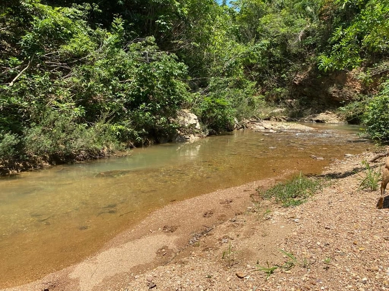 Fazenda à venda, 121 Ha, em Mimoso de Goiás-GO Aptidão para PECUÁRIA: 5ª foto da galeria de imagens do imóvel