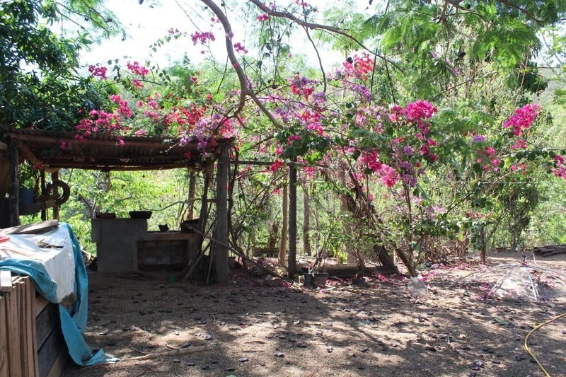 Fazenda à venda, 121 Ha, em Mimoso de Goiás-GO Aptidão para PECUÁRIA: 12ª foto da galeria de imagens do imóvel