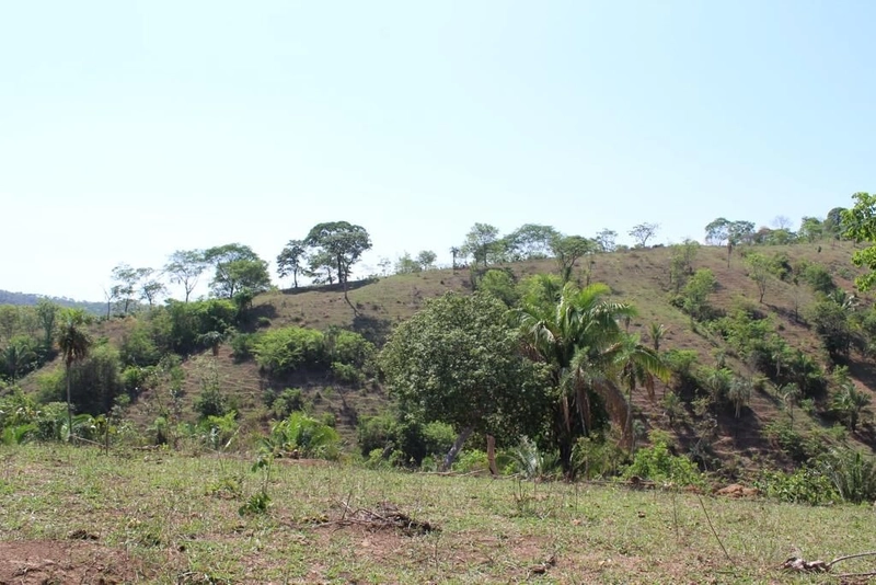 Fazenda à venda, 121 Ha, em Mimoso de Goiás-GO Aptidão para PECUÁRIA: 7ª foto da galeria de imagens do imóvel