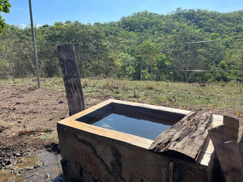 Fazenda à venda, 121 Ha, em Mimoso de Goiás-GO Aptidão para PECUÁRIA: 16ª foto da galeria de imagens do imóvel