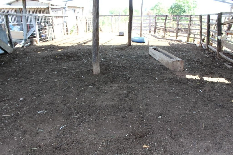 Fazenda à venda, 121 Ha, em Mimoso de Goiás-GO Aptidão para PECUÁRIA: 13ª foto da galeria de imagens do imóvel