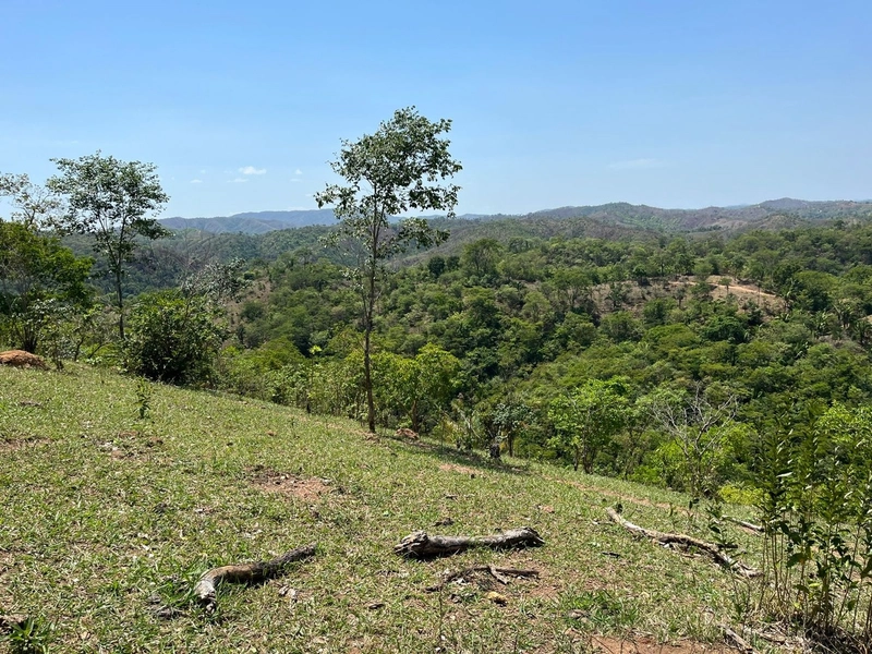 Fazenda à venda, 121 Ha, em Mimoso de Goiás-GO Aptidão para PECUÁRIA: 22ª foto da galeria de imagens do imóvel