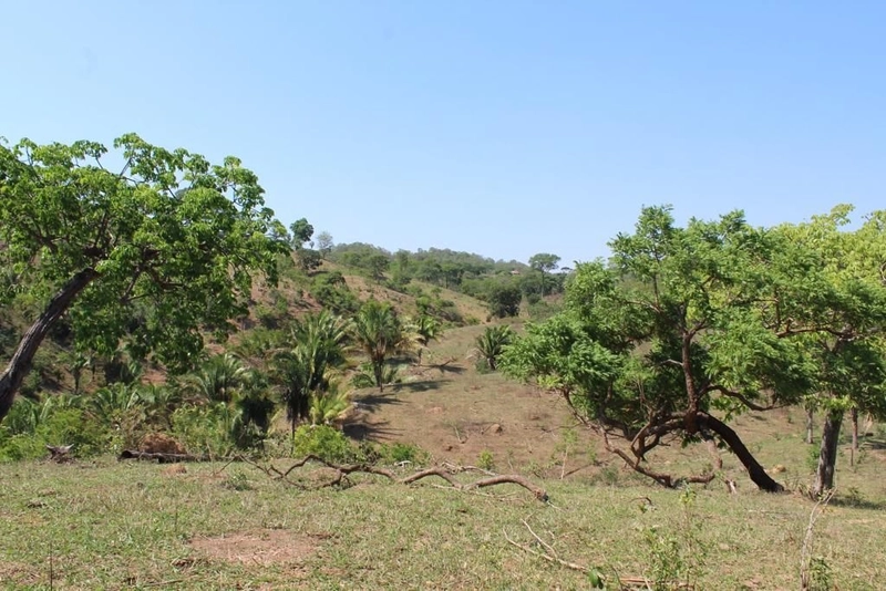 Fazenda à venda, 121 Ha, em Mimoso de Goiás-GO Aptidão para PECUÁRIA: 8ª foto da galeria de imagens do imóvel