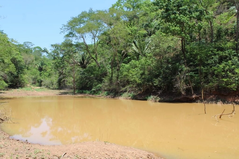 Fazenda à venda, 121 Ha, em Mimoso de Goiás-GO Aptidão para PECUÁRIA: 19ª foto da galeria de imagens do imóvel