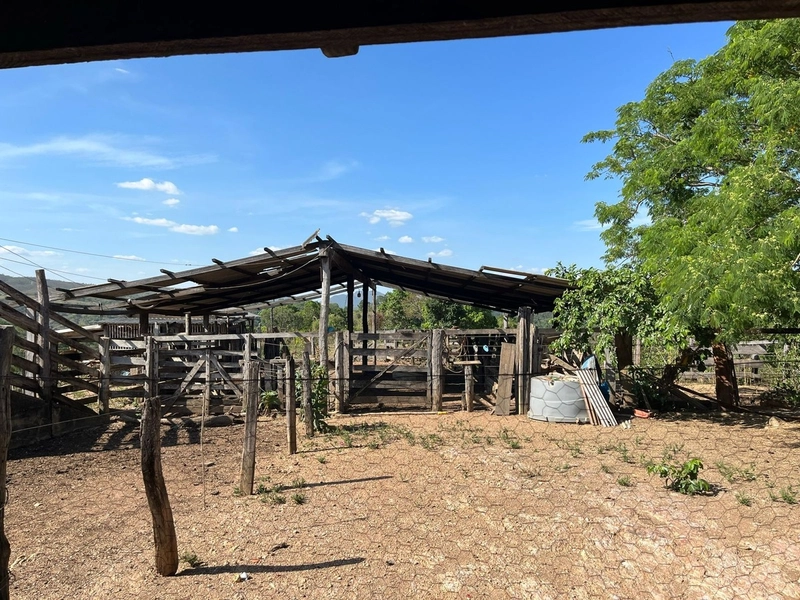 Fazenda à venda, 121 Ha, em Mimoso de Goiás-GO Aptidão para PECUÁRIA: 15ª foto da galeria de imagens do imóvel