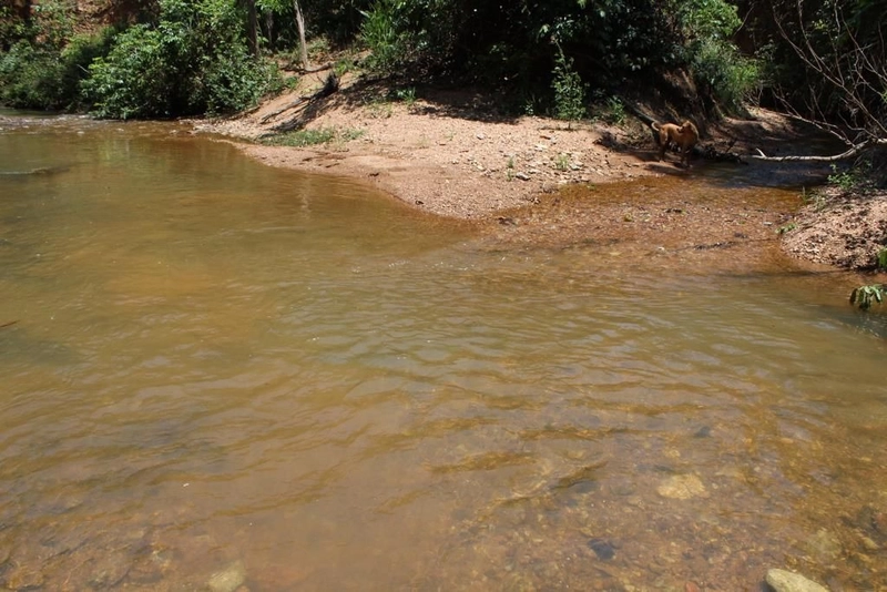 Fazenda à venda, 121 Ha, em Mimoso de Goiás-GO Aptidão para PECUÁRIA: 2ª foto da galeria de imagens do imóvel