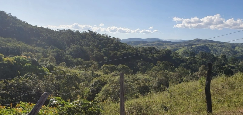 Fazenda à venda, 121 Ha, em Mimoso de Goiás-GO Aptidão para PECUÁRIA: 21ª foto da galeria de imagens do imóvel