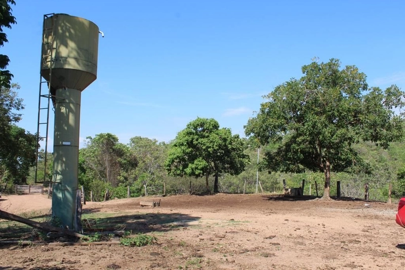 Fazenda à venda, 121 Ha, em Mimoso de Goiás-GO Aptidão para PECUÁRIA: 20ª foto da galeria de imagens do imóvel