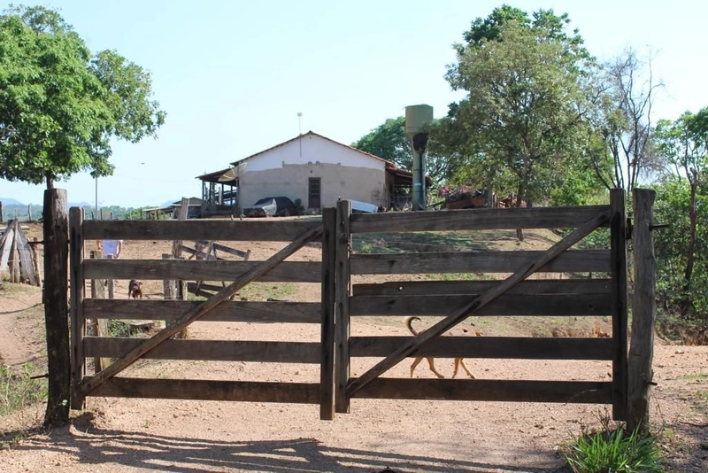 Fazenda à venda, 121 Ha, em Mimoso de Goiás-GO Aptidão para PECUÁRIA: 3ª foto da galeria de imagens do imóvel