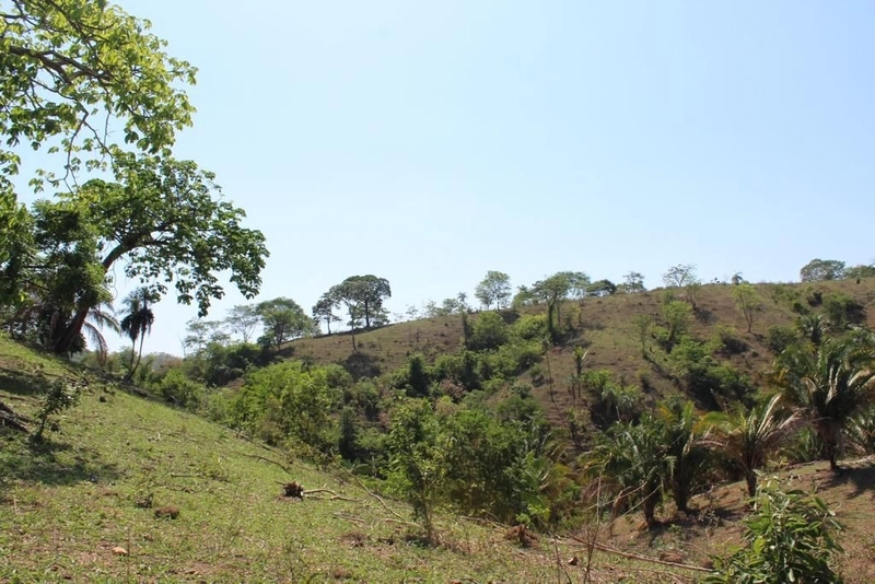 Fazenda à venda, 121 Ha, em Mimoso de Goiás-GO Aptidão para PECUÁRIA: 1ª foto da galeria de imagens do imóvel
