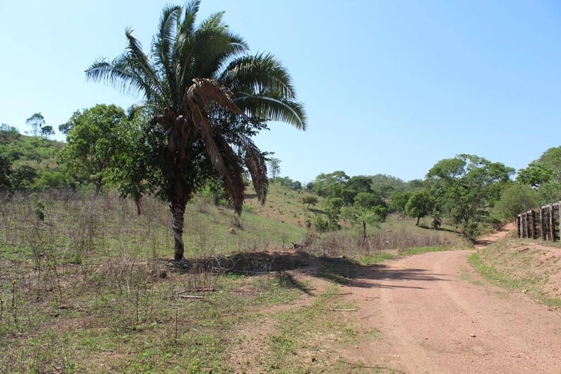 Fazenda à venda, 121 Ha, em Mimoso de Goiás-GO Aptidão para PECUÁRIA: 11ª foto da galeria de imagens do imóvel