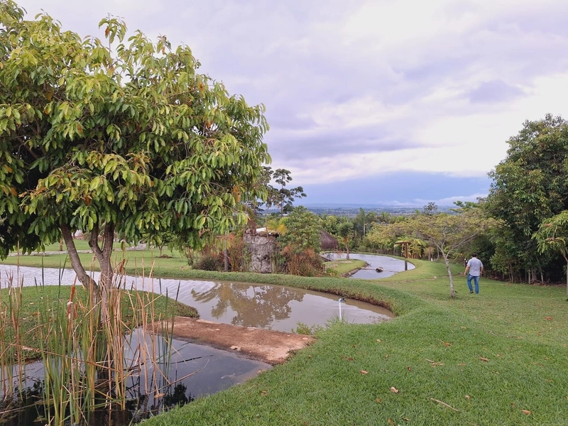 Chácara de luxo, um paraíso dentro da cidade Paisagismo lindo.: 2ª foto da galeria de imagens do imóvel