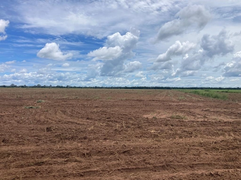 Fazenda à venda, 560 Ha, em João Pinheiro-MG - 245 ha de pivôs.: 2ª foto da galeria de imagens do imóvel