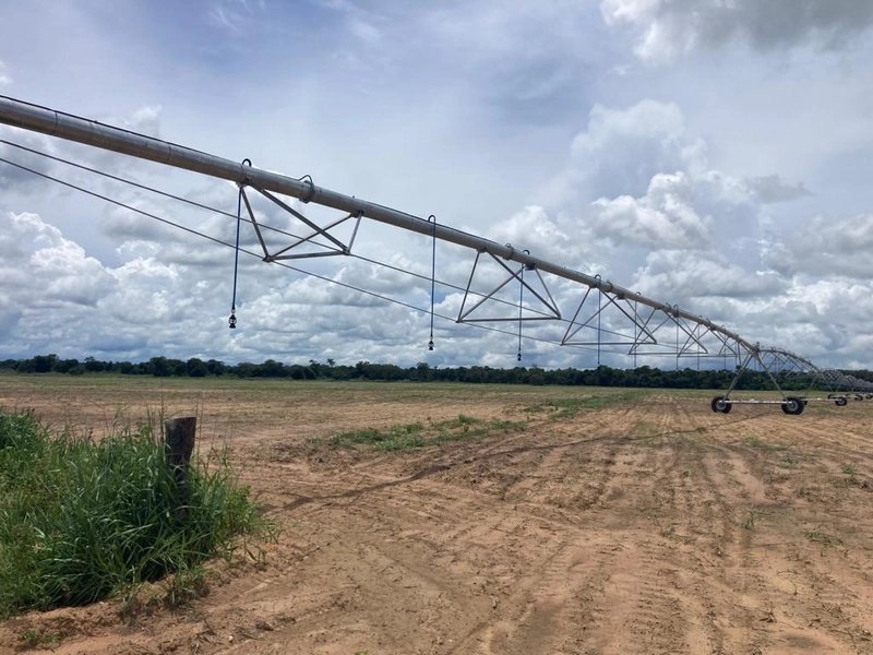 Fazenda à venda, 560 Ha, em João Pinheiro-MG - 245 ha de pivôs.: 3ª foto da galeria de imagens do imóvel
