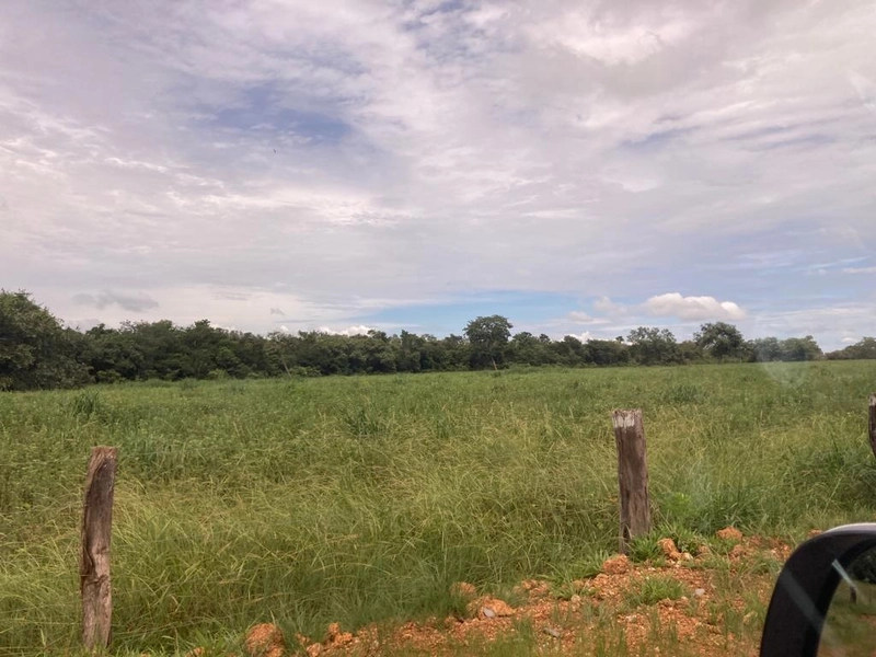 Fazenda à venda, 560 Ha, em João Pinheiro-MG - 245 ha de pivôs.: 19ª foto da galeria de imagens do imóvel