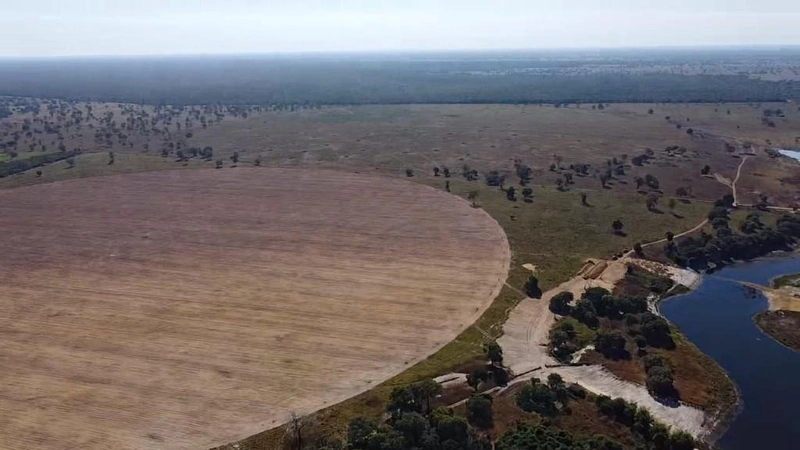 Fazenda à venda, 560 Ha, em João Pinheiro-MG - 245 ha de pivôs.: 8ª foto da galeria de imagens do imóvel