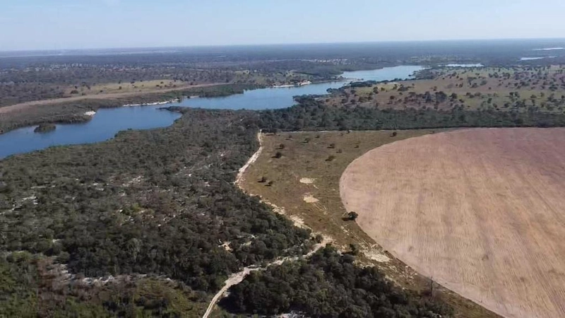 Fazenda à venda, 560 Ha, em João Pinheiro-MG - 245 ha de pivôs.: 1ª foto da galeria de imagens do imóvel