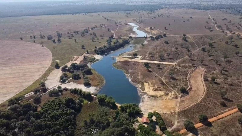 Fazenda à venda, 560 Ha, em João Pinheiro-MG - 245 ha de pivôs.: 13ª foto da galeria de imagens do imóvel