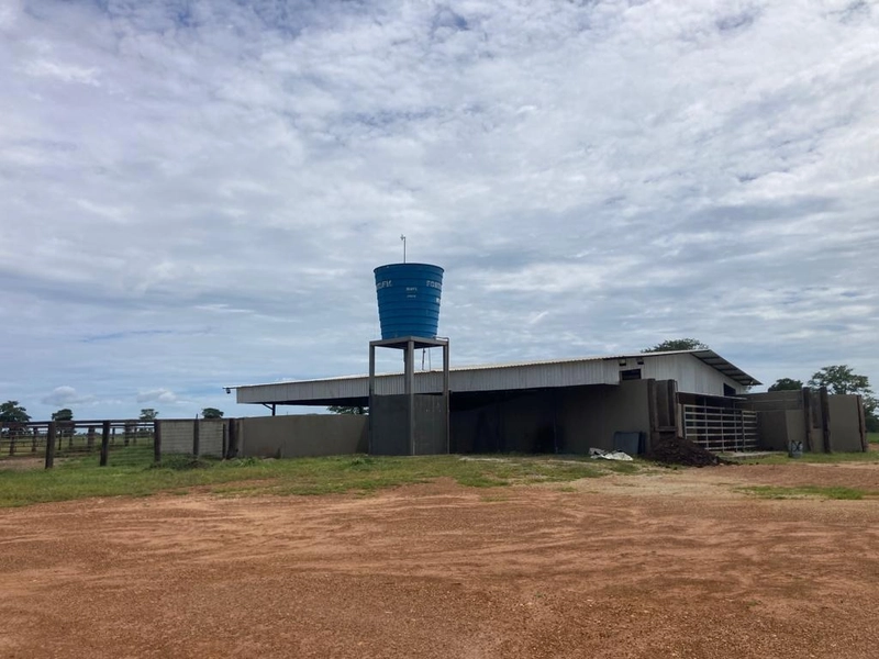 Fazenda à venda, 560 Ha, em João Pinheiro-MG - 245 ha de pivôs.: 15ª foto da galeria de imagens do imóvel