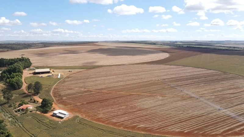 Fazenda, PARA AGRICULTURA, em Cristalina-GO 168 ha irrigada c/ 3 pivôs: 6ª foto da galeria de imagens do imóvel