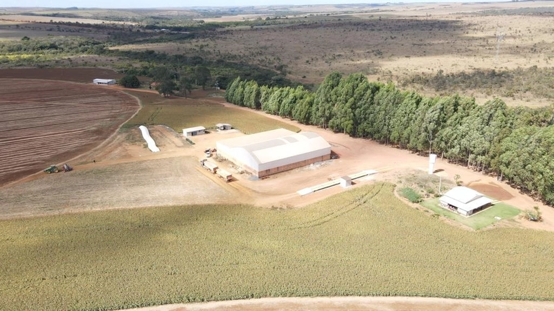 Fazenda, PARA AGRICULTURA, em Cristalina-GO 168 ha irrigada c/ 3 pivôs: 7ª foto da galeria de imagens do imóvel