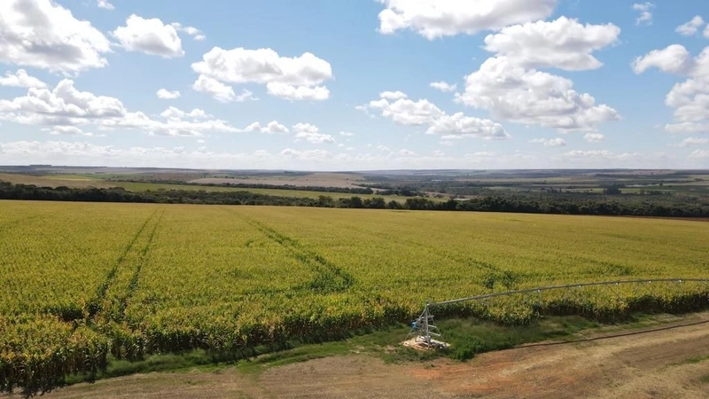 Fazenda, PARA AGRICULTURA, em Cristalina-GO 168 ha irrigada c/ 3 pivôs: 4ª foto da galeria de imagens do imóvel