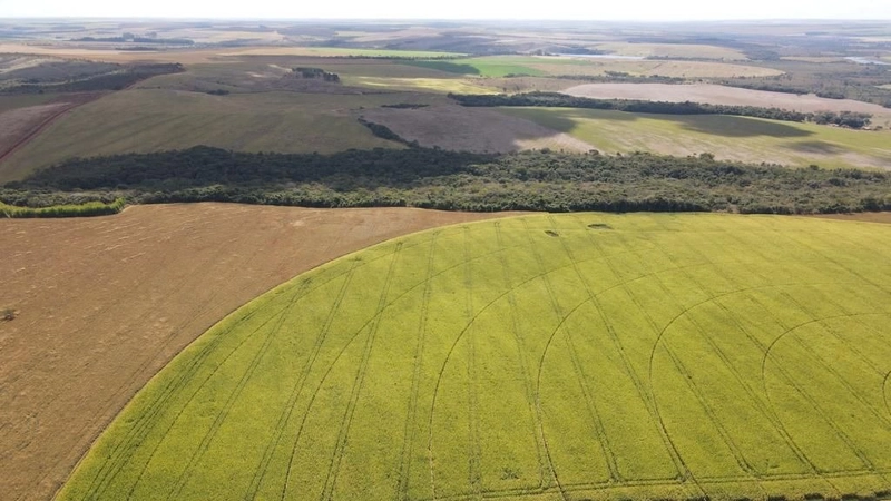 Fazenda, PARA AGRICULTURA, em Cristalina-GO 168 ha irrigada c/ 3 pivôs: 5ª foto da galeria de imagens do imóvel