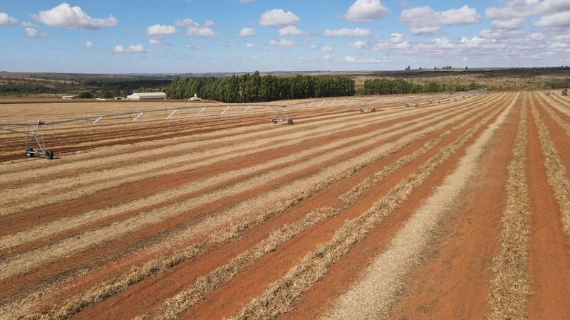 Fazenda, PARA AGRICULTURA, em Cristalina-GO 168 ha irrigada c/ 3 pivôs: 3ª foto da galeria de imagens do imóvel