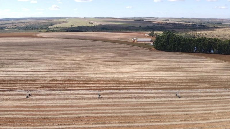 Fazenda, PARA AGRICULTURA, em Cristalina-GO 168 ha irrigada c/ 3 pivôs: 2ª foto da galeria de imagens do imóvel