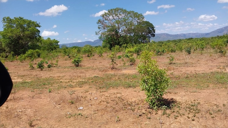 Fazenda à venda, 498 Ha, em São João d’Aliança-GO 400 ha para plantio.: 10ª foto da galeria de imagens do imóvel