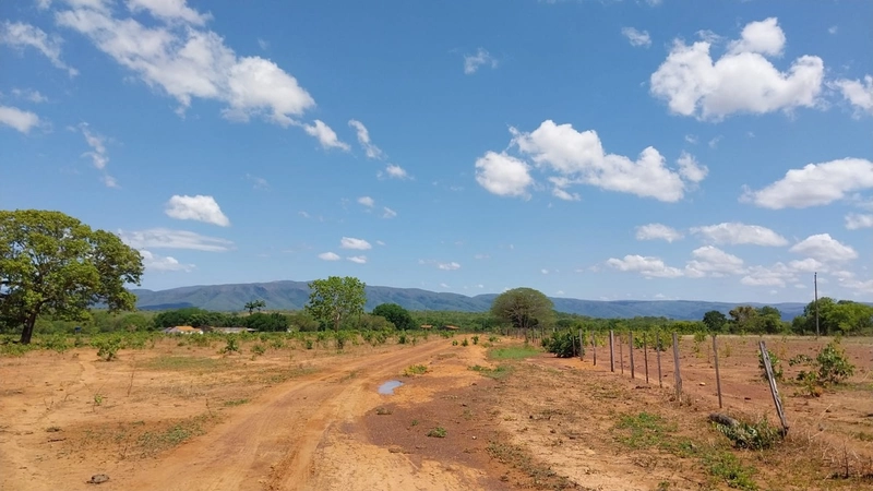 Fazenda à venda, 498 Ha, em São João d’Aliança-GO 400 ha para plantio.: 16ª foto da galeria de imagens do imóvel