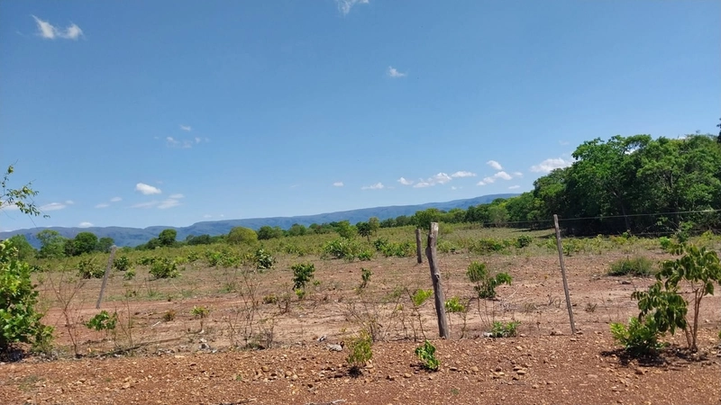 Fazenda à venda, 498 Ha, em São João d’Aliança-GO 400 ha para plantio.: 3ª foto da galeria de imagens do imóvel