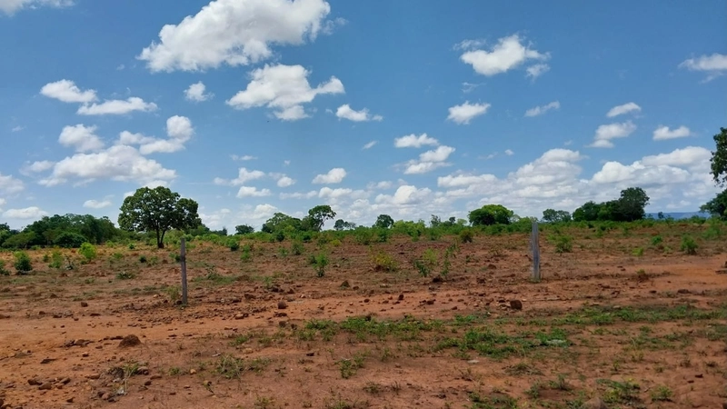 Fazenda à venda, 498 Ha, em São João d’Aliança-GO 400 ha para plantio.: 13ª foto da galeria de imagens do imóvel