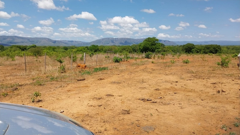 Fazenda à venda, 498 Ha, em São João d’Aliança-GO 400 ha para plantio.: 12ª foto da galeria de imagens do imóvel