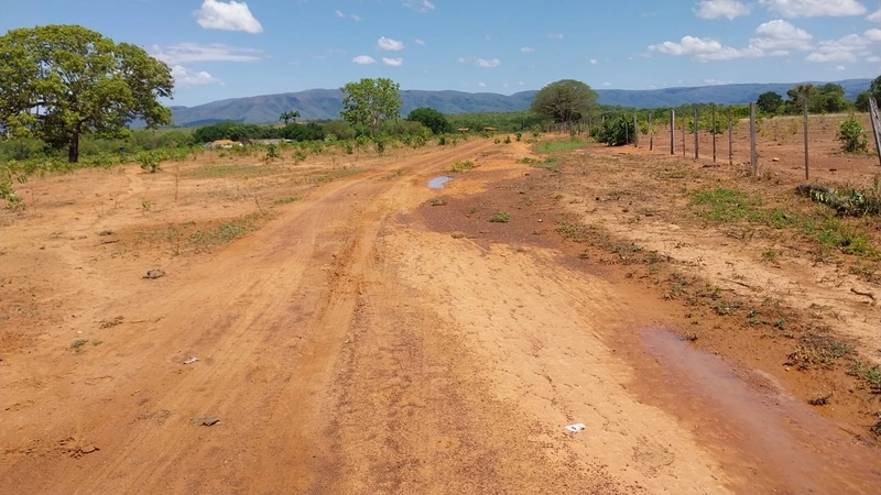 Fazenda à venda, 498 Ha, em São João d’Aliança-GO 400 ha para plantio.: 1ª foto da galeria de imagens do imóvel