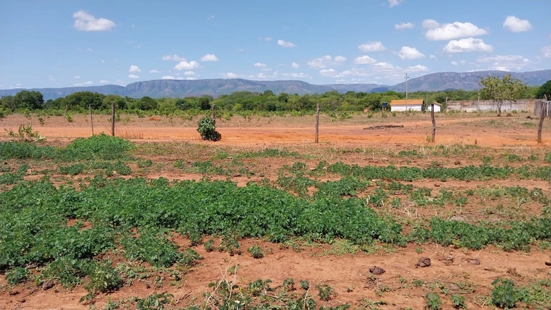 Fazenda à venda, 498 Ha, em São João d’Aliança-GO 400 ha para plantio.: 5ª foto da galeria de imagens do imóvel
