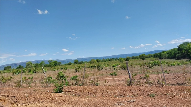 Fazenda à venda, 498 Ha, em São João d’Aliança-GO 400 ha para plantio.: 2ª foto da galeria de imagens do imóvel