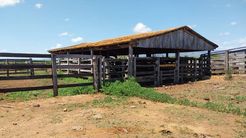 Fazenda à venda, 498 Ha, em São João d’Aliança-GO 400 ha para plantio.: 6ª foto da galeria de imagens do imóvel