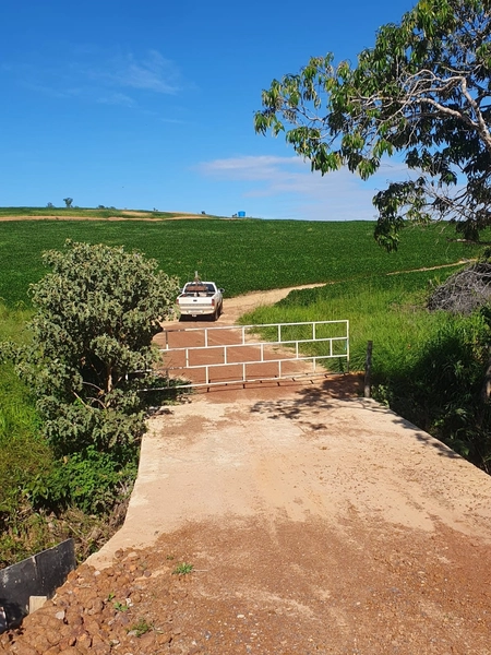 Olhe a OPORTUNIDADE - Fazenda plantando 185 ha, em Sítio d’Abadia-GO: 5ª foto da galeria de imagens do imóvel