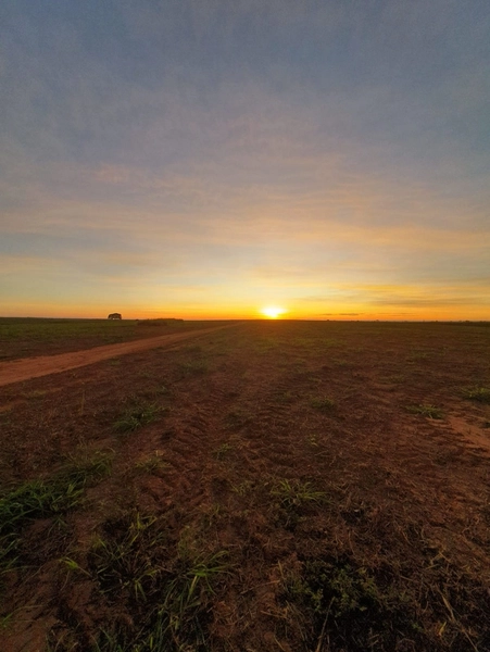 Olhe a OPORTUNIDADE - Fazenda plantando 185 ha, em Sítio d’Abadia-GO: 2ª foto da galeria de imagens do imóvel